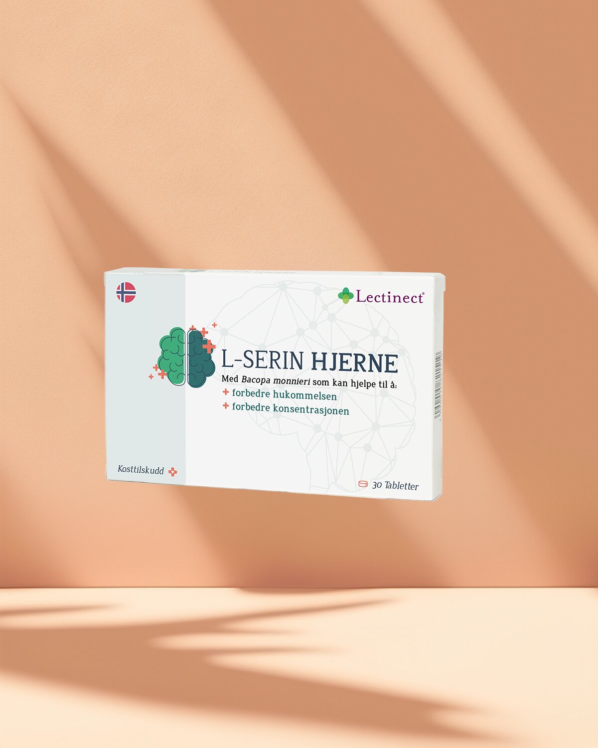  20% Lectinect Hjerne