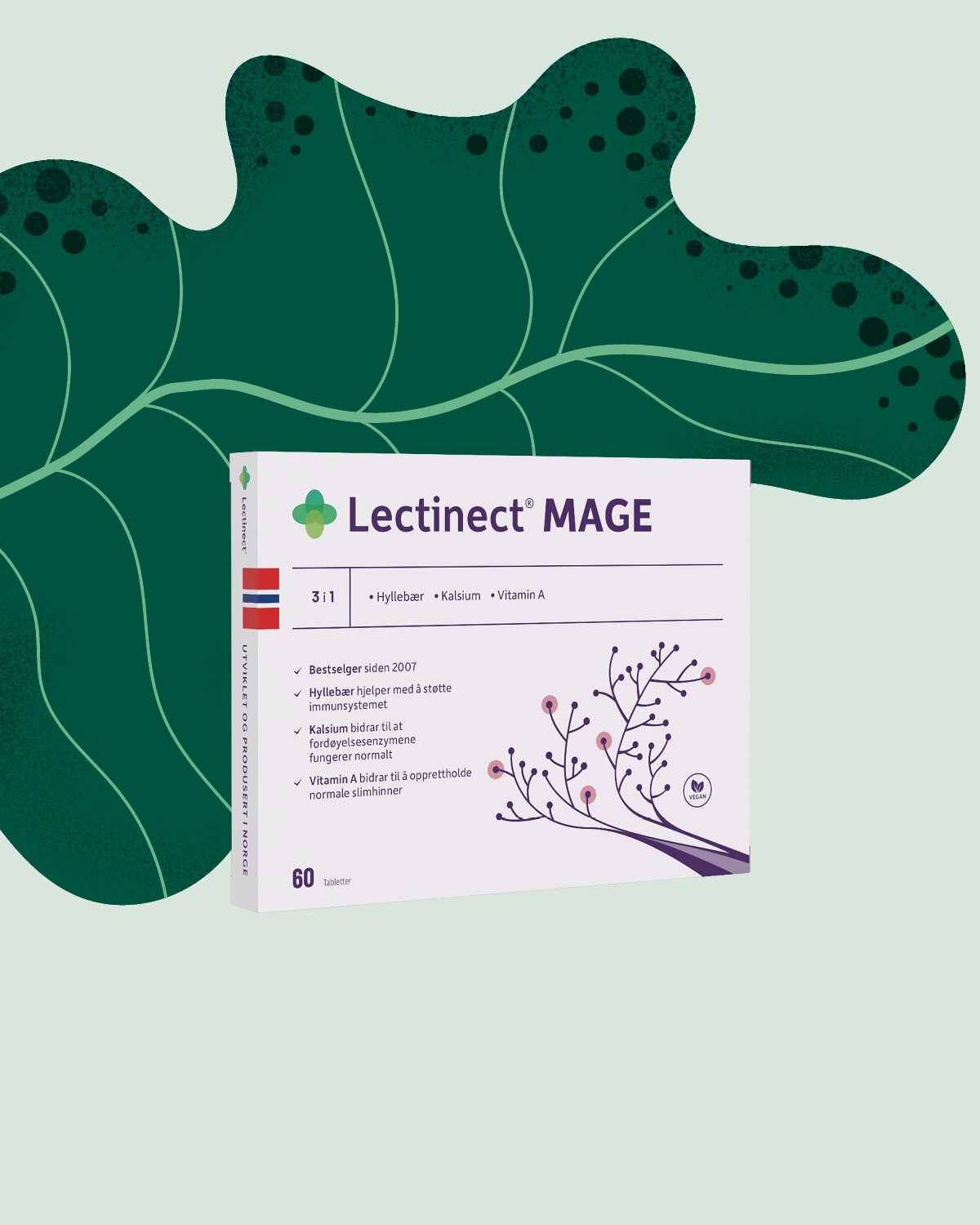 Medlemstilbud: 40% på Lectinect Mage 