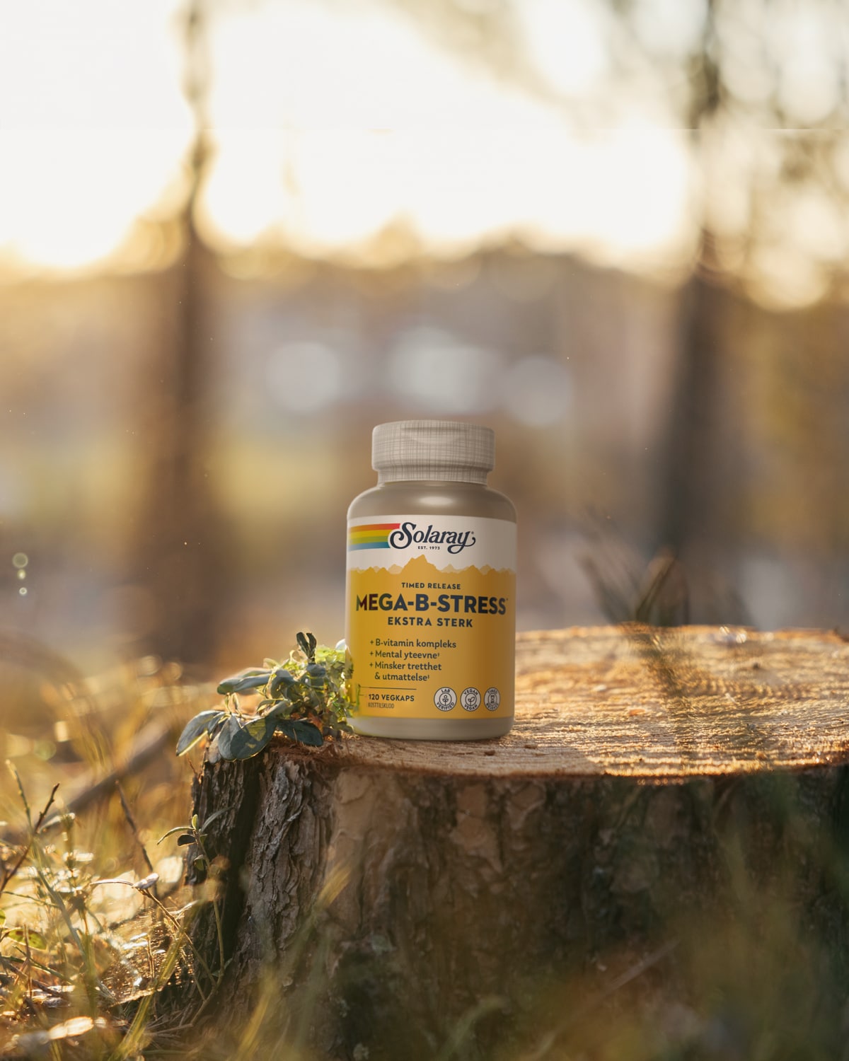 20% på utvalgt fra Solaray