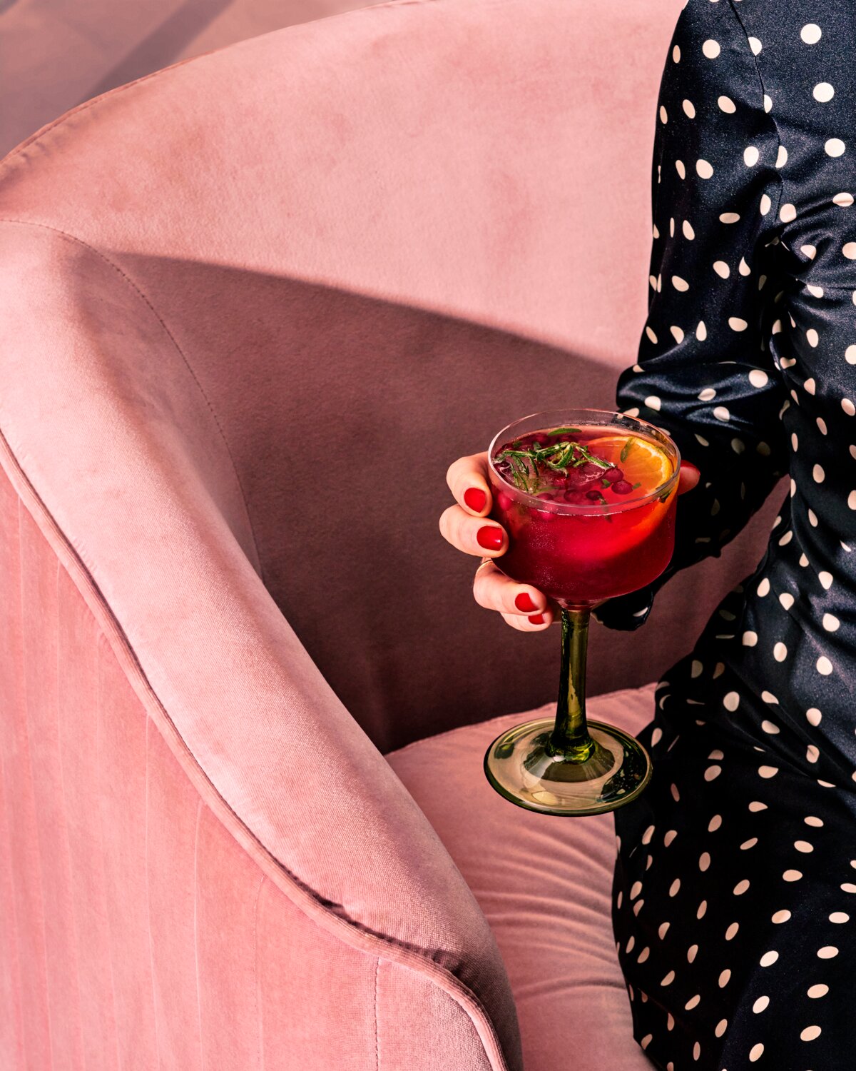 Cranberry Kombucha Mocktail