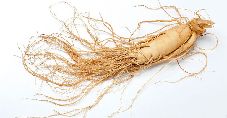 Ginseng og rosenrot