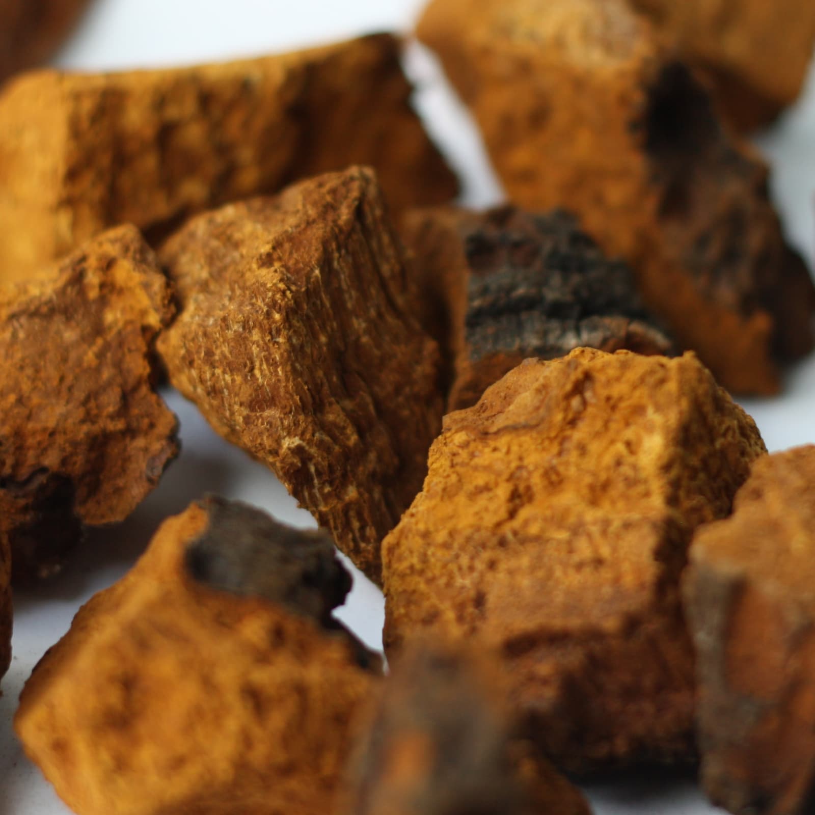 Chaga er en veldig sterk naturlig antioksidant, og soppen er også et adaptagen