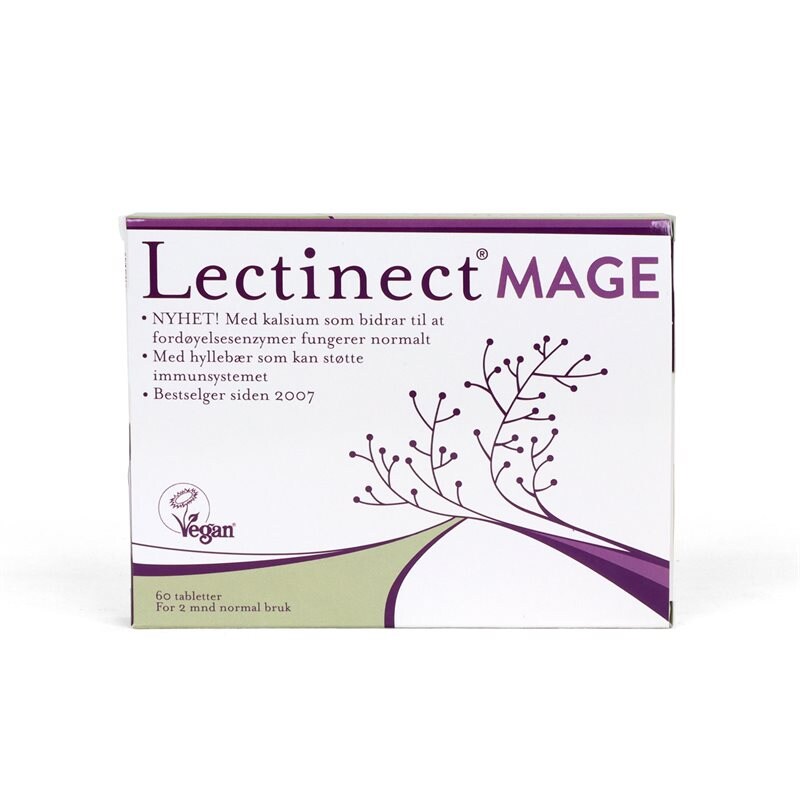 Lectinect Mage