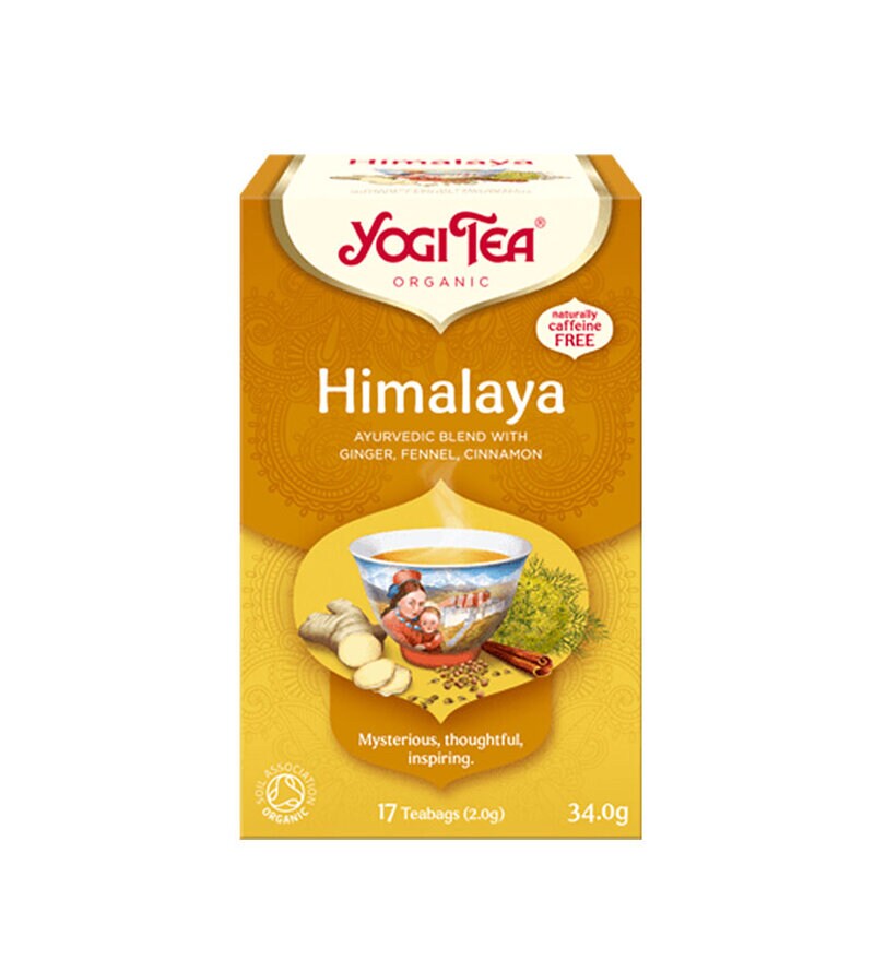 YOGI | Yogi Te Himalaya