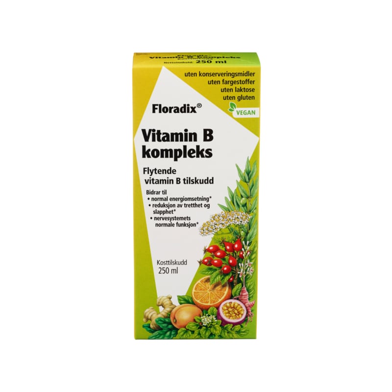 FLORADIX | Floradix Vitamin B Complex