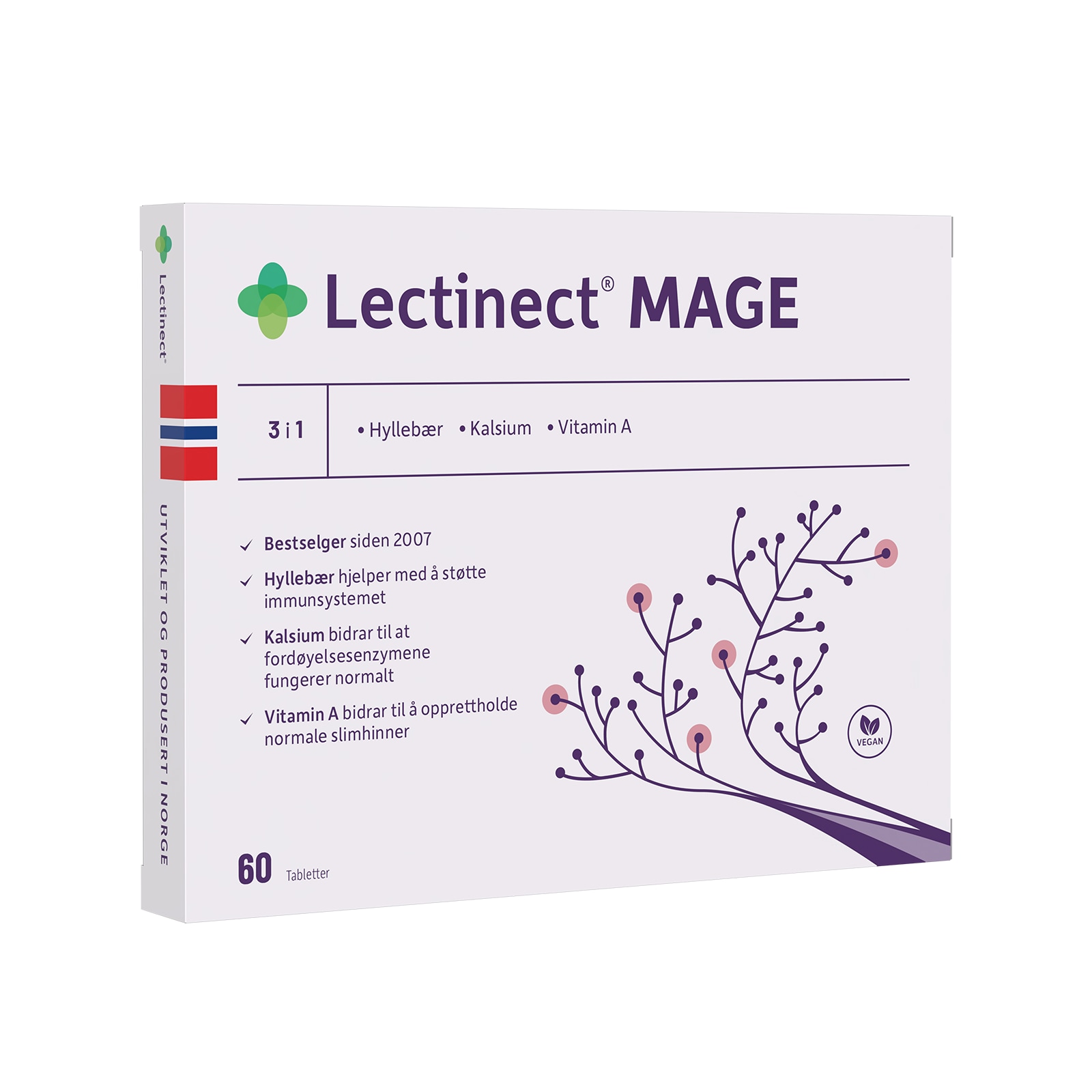 LECTINECT | Lectinect Mage