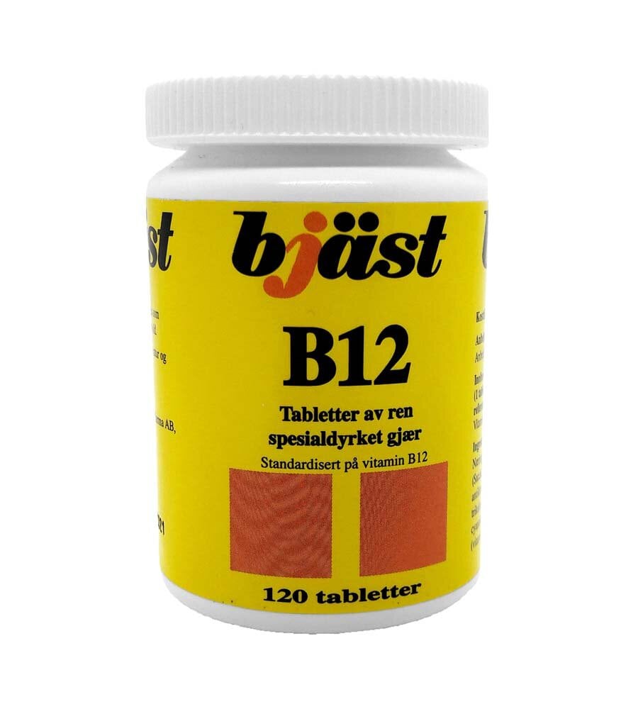 Bjäst B12