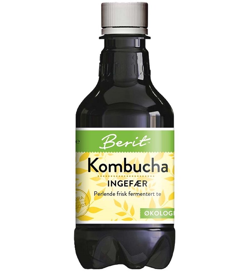 Berit™ KOMBUCHA INGEFÆR 