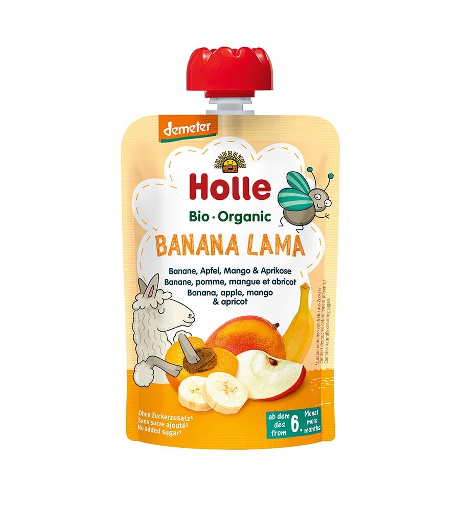 Holle Smoothie 