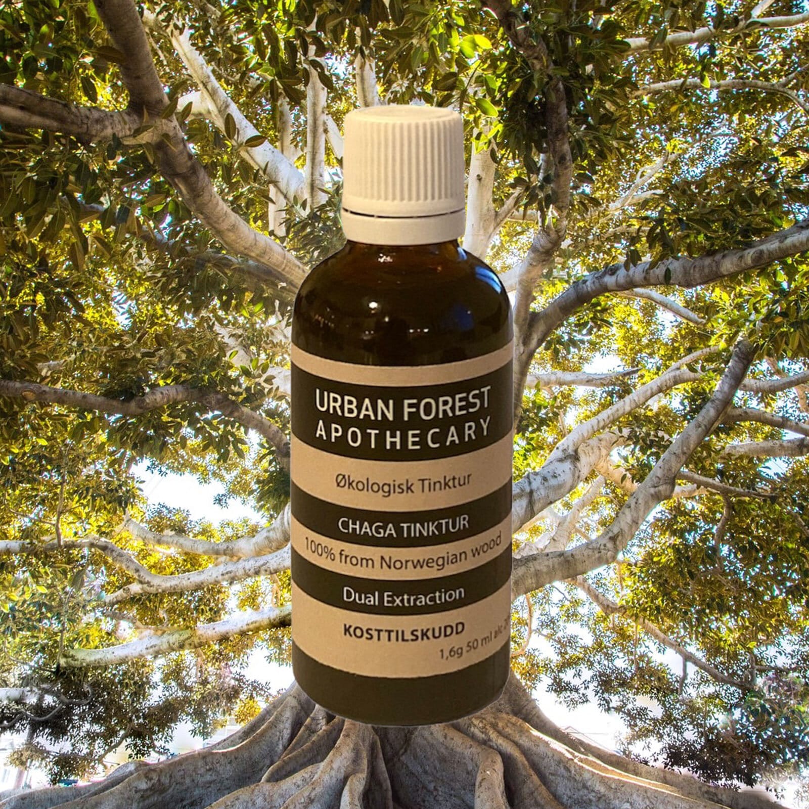 Urban Forest Chaga 50 ML