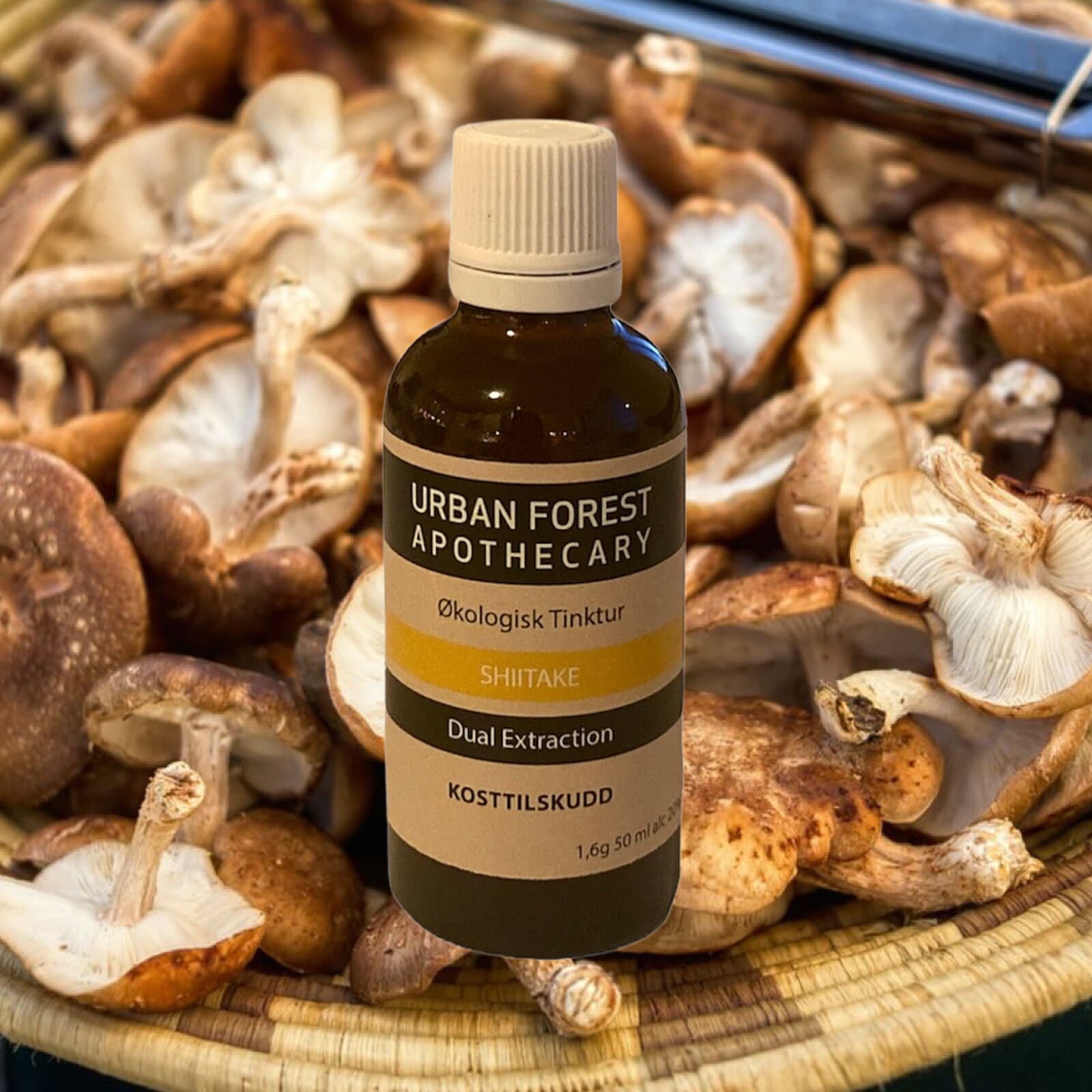 Urban Forest Shiitake