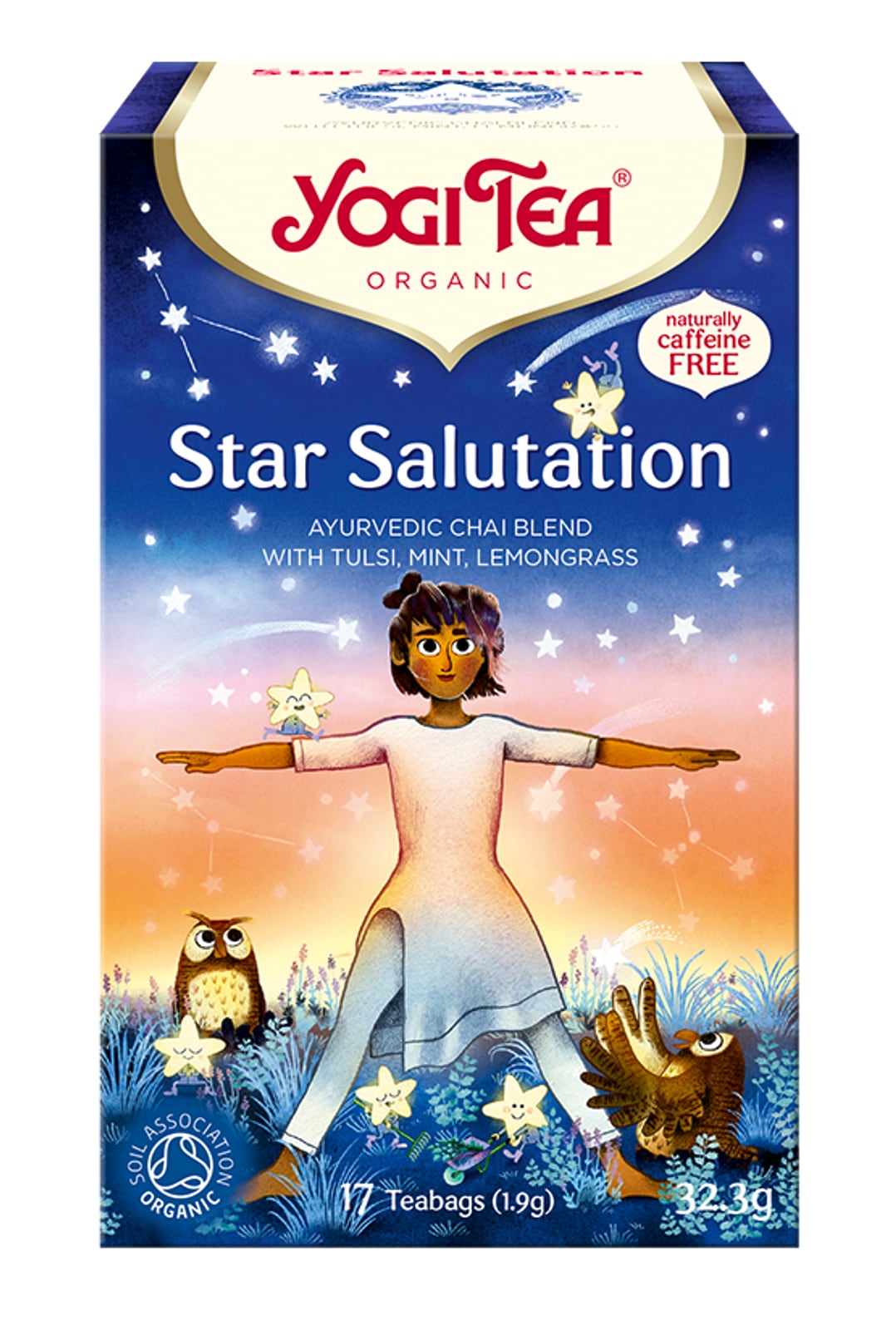 Yogi Tea Star Salutation